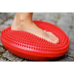 Sissel® Balancefit