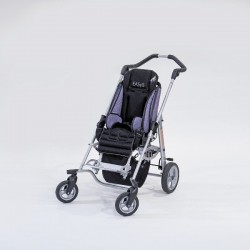 Buggy Easys
