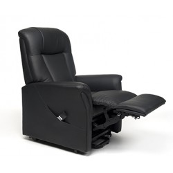Fauteuil releveur Ontario...